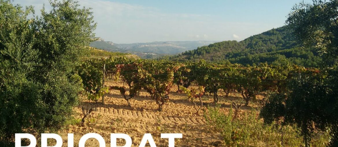 Spanish Wine Regions: Priorat Spanish Wine Regions: Priorat