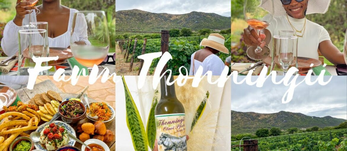 VINEYARD FARM IN NAMIBIA ll WINE TASTING + LUNCH #OTAVI #THONNINGII #THONNINGIIFARM VINEYARD FARM IN NAMIBIA ll WINE TASTING + LUNCH #OTAVI #THONNINGII #THONNINGIIFARM