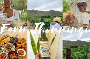 VINEYARD FARM IN NAMIBIA ll WINE TASTING + LUNCH  #OTAVI #THONNINGII #THONNINGIIFARM