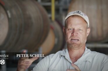 Introducing Spinifex Wines