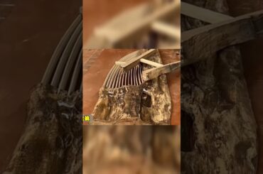 simple "free farmhouse table plans #Short #clip2