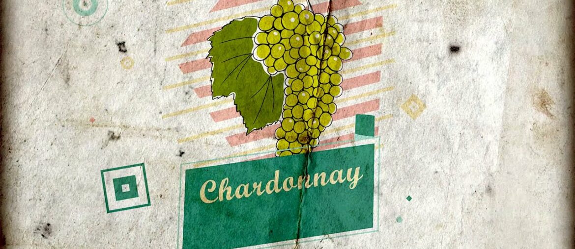 What are the Chardonnay whites wines like? What are the Chardonnay whites wines like?