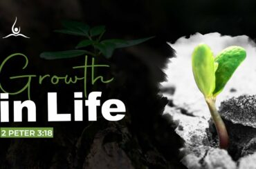 Sunday Service - 26th December 2021 - 10am