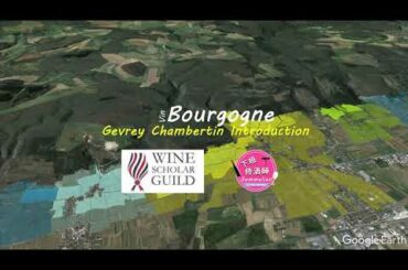 Wine Scholar Guild Bourgogne Master-Level | Gevrey Chambertin: An Introduction | Wine study