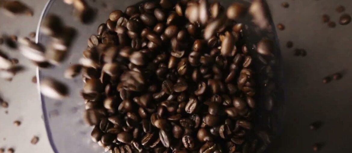 Promo Daily Smoke Club 36 Promo Daily Smoke Club 36