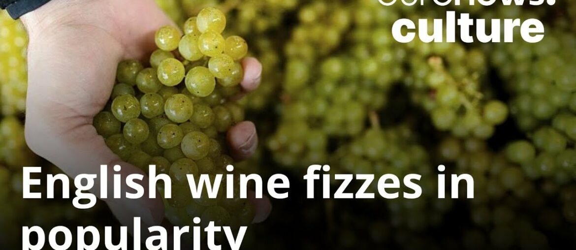 English sparkling wine production gaining in POP-ularity as the French continue to invest English sparkling wine production gaining in POP-ularity as the French continue to invest