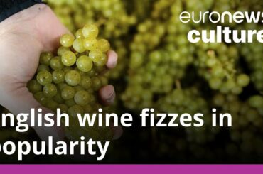 English sparkling wine production gaining in POP-ularity as the French continue to invest
