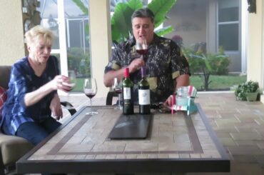 Fat bastard wine vs Skinnygirl wine. California vs France