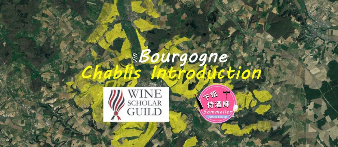 Wine Scholar Guild Bourgogne Master-Level | Chablis: An Introduction | Burgundy Wine Study