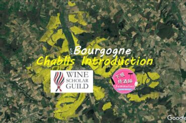 Wine Scholar Guild Bourgogne Master-Level | Chablis: An Introduction | Burgundy Wine Study