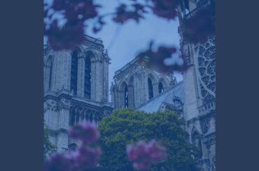 Majestic Ambience for Dining