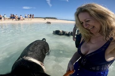 @Sandals Resorts Emerald Bay In Depth - Exuma - Bahamas - Swimming Pigs - Moriah Sea Park