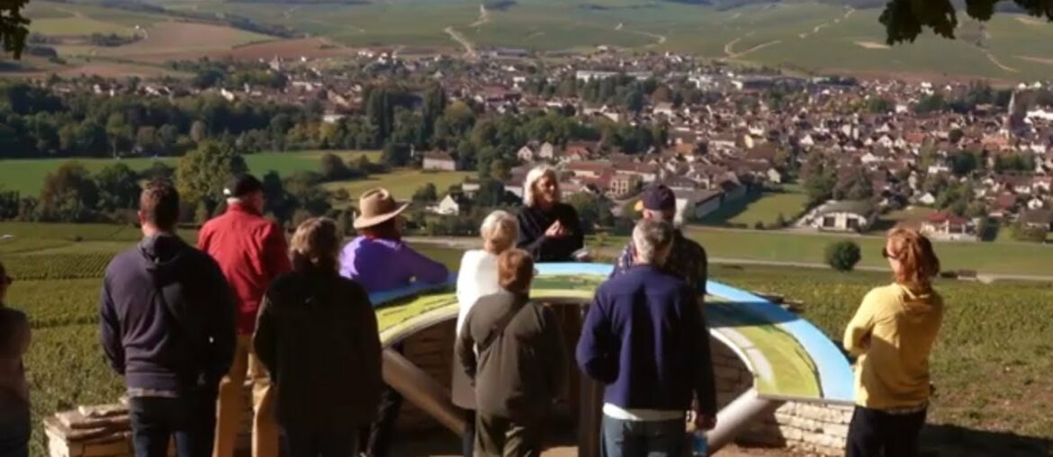 Private Tasting of Chablis Wines at the Prestigious Domaine Laroche Private Tasting of Chablis Wines at the Prestigious Domaine Laroche