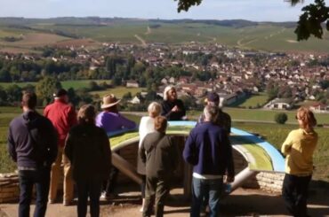 Private Tasting of Chablis Wines at the Prestigious Domaine Laroche