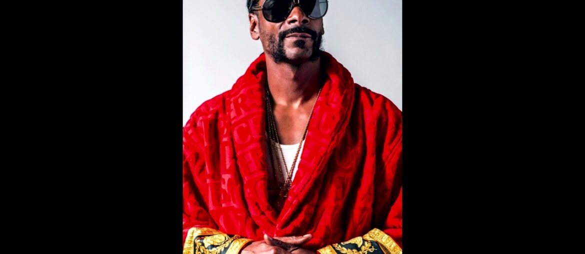 Snoop Dogg - Back Up  ( Remix by WIne )