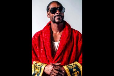Snoop Dogg - Back Up  ( Remix by WIne )