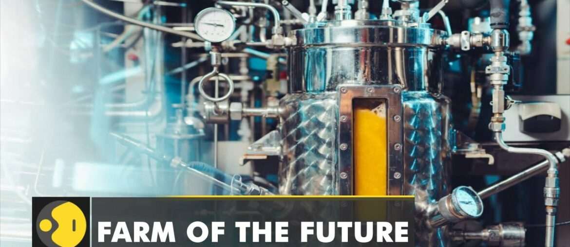 Finland based food tech startup makes nutrient rich protein from Solein | English News | WION