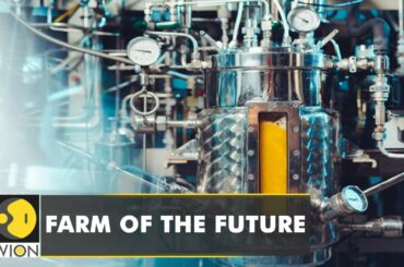 Finland based food tech startup makes nutrient rich protein from Solein | English News | WION