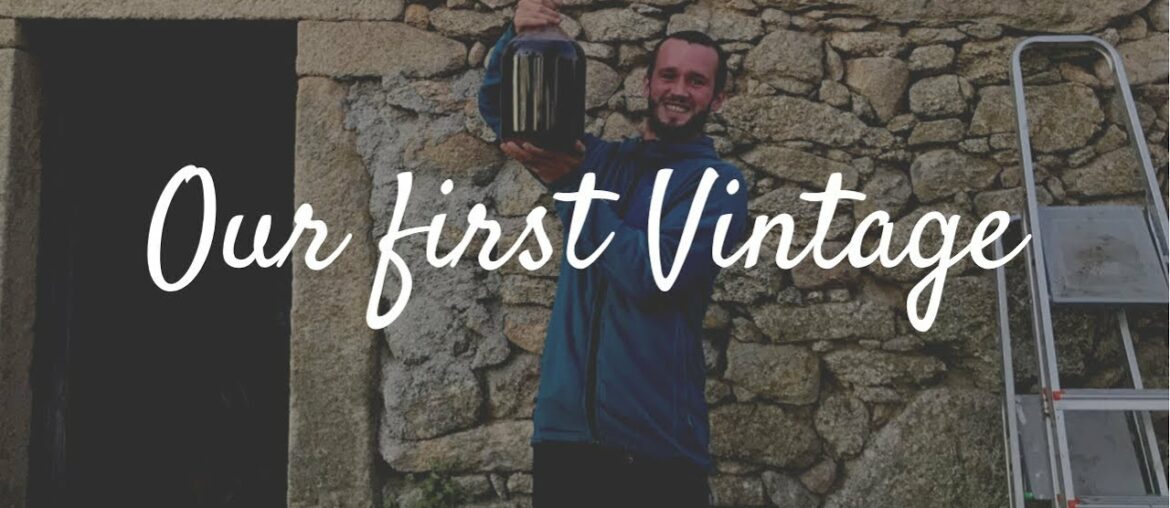 Making wine the natural way, from start to finish. Our First Vintage. Making wine the natural way, from start to finish. Our First Vintage.