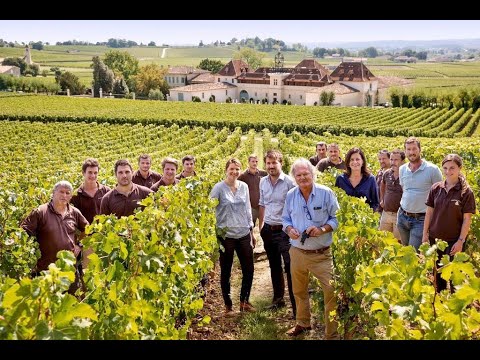 Chateau Angelus Drops Out Of Bordeaux’s Saint Emilion Wine Classification Chateau Angelus Drops Out Of Bordeaux’s Saint Emilion Wine Classification
