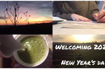 New Year's Day Vlog / French food, vineyard & family time