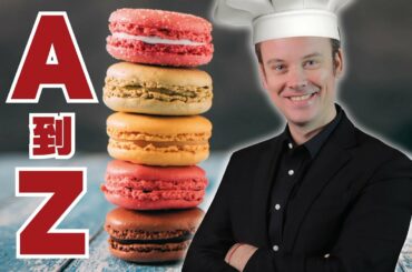 Wine, Rabbit, Frog, Snail, All about French Gastronomy, from A to Z