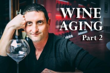 What happens to wine through cellaring? The evolution of aging wine Part 2