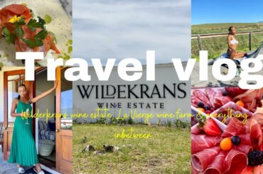 2022 ‘PRE-CHARGE’ IN AND AROUND HERMANUS WINE VALLEYS | THE HUNGRY WANDERER | SOUTH AFRICAN YOUTUBER
