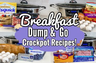 5 DUMP & GO CROCKPOT BREAKFAST IDEAS! | The EASIEST Slow Cooker Breakfast Recipes! | Julia Pacheco