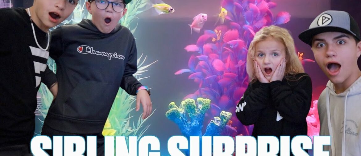 SURPRISING SIBLINGS WITH NEW FAMILY PET | FIRST TROPICAL FISH TANK | FULL AQUARIUM SETUP AND REVEAL SURPRISING SIBLINGS WITH NEW FAMILY PET | FIRST TROPICAL FISH TANK | FULL AQUARIUM SETUP AND REVEAL