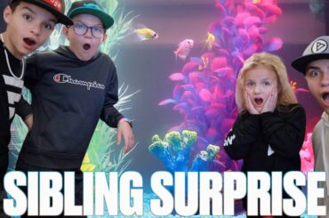 SURPRISING SIBLINGS WITH NEW FAMILY PET | FIRST TROPICAL FISH TANK | FULL AQUARIUM SETUP AND REVEAL