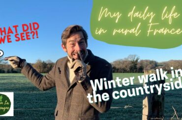 Winter walk in the French countryside! || My daily life in the French countryside Ep 15