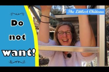 The Decorating Platform (will she climb it?!)