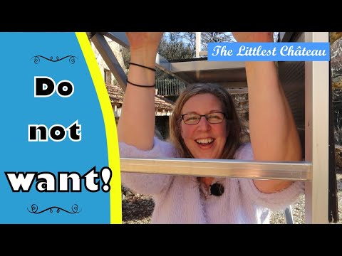 The Decorating Platform (will she climb it?!) The Decorating Platform (will she climb it?!)