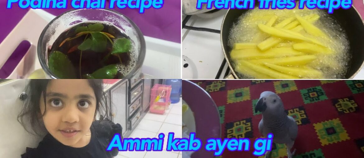 Ammi kab wapas ayen gi  podina chai recipe French fries recipe