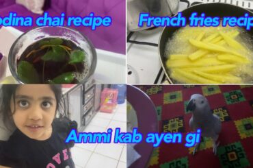 Ammi kab wapas ayen gi  podina chai recipe French fries recipe