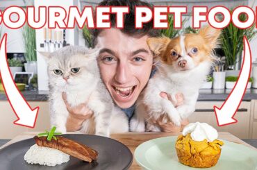 Cooking A Gourmet Meal For My Dog & Cat! | Eitan Bernath