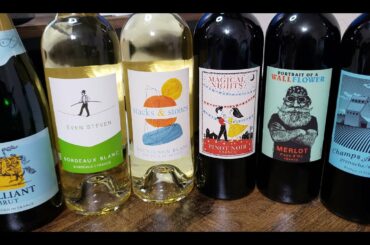 Virtual Wine Tasting 31 - 2021 Costco Advent Calendar French Collection