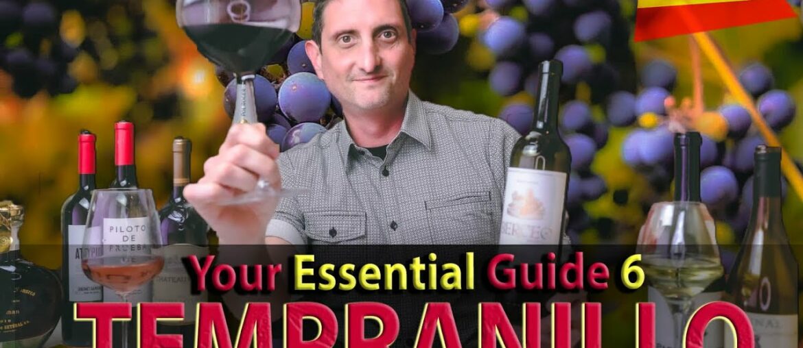 Your Essential Guide to Tempranillo Wine: Rioja, Ribera del Duero, Toro...