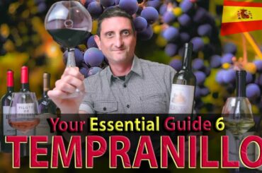 Your Essential Guide to Tempranillo Wine: Rioja, Ribera del Duero, Toro...