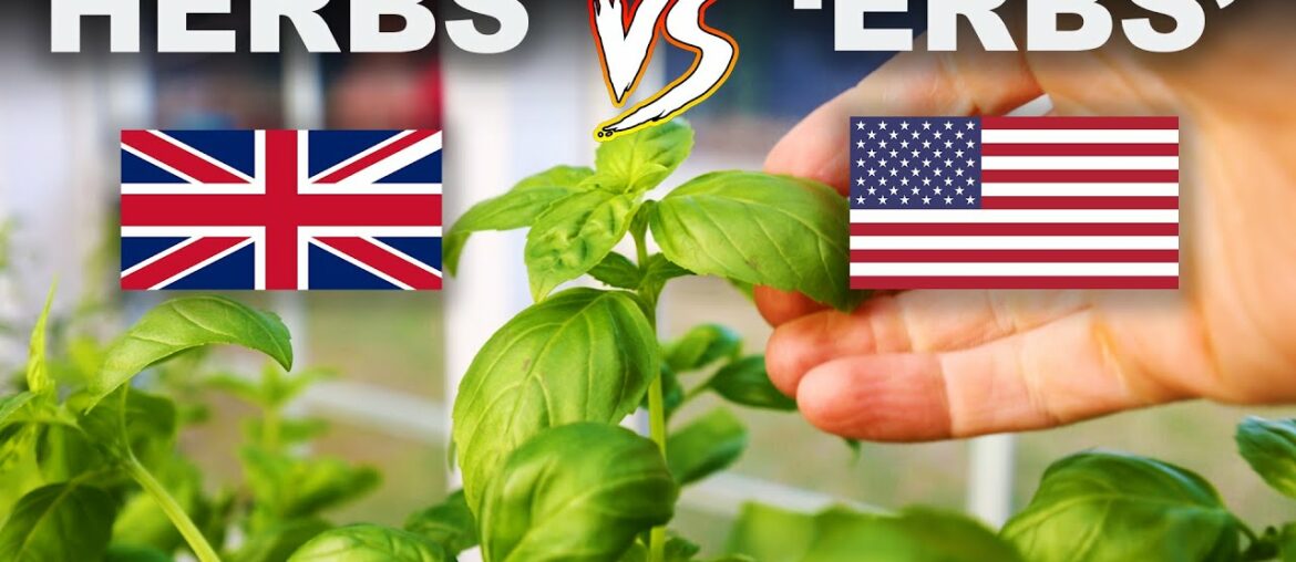 Why Americans don't pronounce the H in herbs