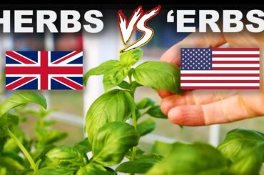Why Americans don't pronounce the H in herbs