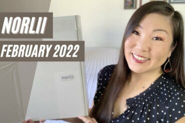 Norlii | Balance | February 2022