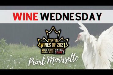 Wine Wednesday with Pearl Morissette