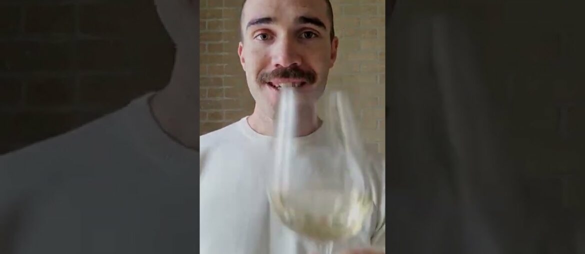 Wine Terms - Terroir | Talk Like A Wine Pro #shorts