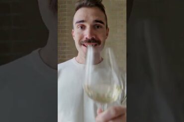 Wine Terms - Terroir | Talk Like A Wine Pro #shorts