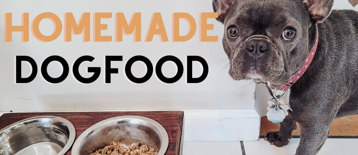 Homemade Dog Food | Healthy Dog Food Recipe | What I feed my French Bulldog