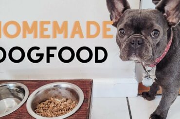Homemade Dog Food | Healthy Dog Food Recipe | What I feed my French Bulldog