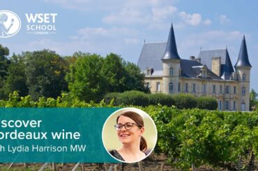 Discover Bordeaux wine with Lydia Harrison MW