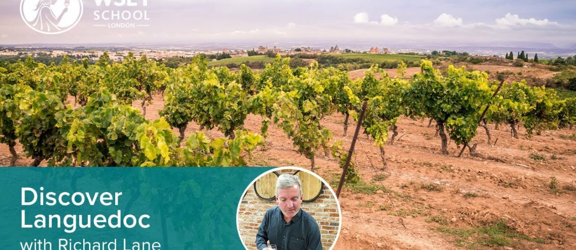 Discover Languedoc wine with Richard Lane DipWSET